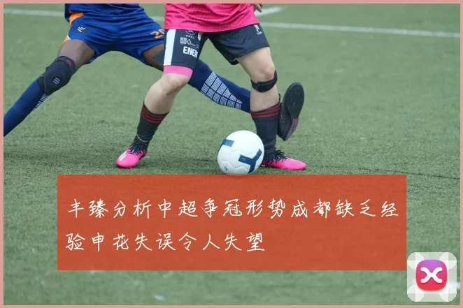 丰臻分析中超争冠形势成都缺乏经验申花失误令人失望