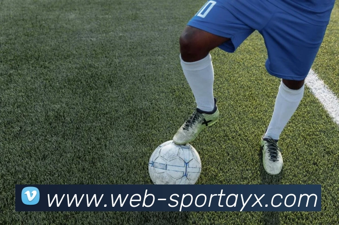 爱游戏APP 封面图